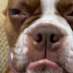 Meet your Posher, Eddie